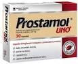 Prostata