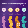 Femibion 2 Ciąża (13-40 tydzień) - 54 tabletek +54 kapsułek - 4