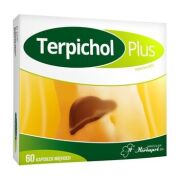 Terpichol Plus 60 kaps. 