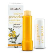 SYLVECO Odżywcza pomadka z peelingiem 4,6g