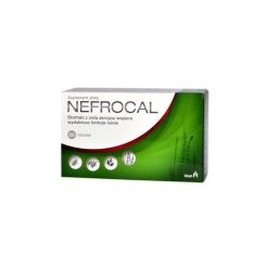 Nefrocal tabletki powlekane 60 szt