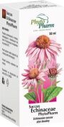 Succus Echinaceae płyn doustny, 50ml